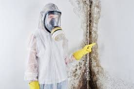 Mitchell, IL Mold Removal Services Company